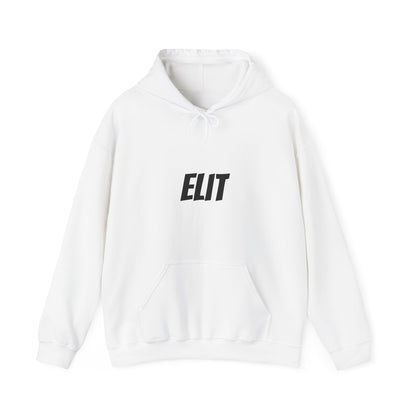 Unisex Heavy Blend™ Hooded Sweatshirt-Sky Diving Dog